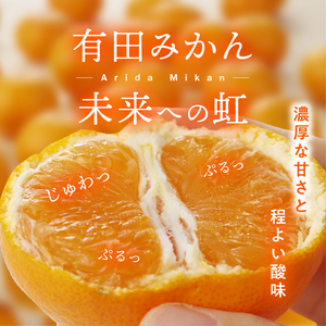 有田みかん「未来への虹」（10kg）(B2-2)