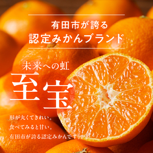 有田市認定みかん「未来への虹」至宝(5kg)【日本初自治体認定フルーツ】(B1-2)
