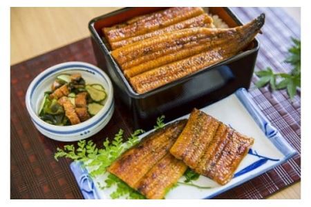 国産うなぎ蒲焼3種セット(B6-9)