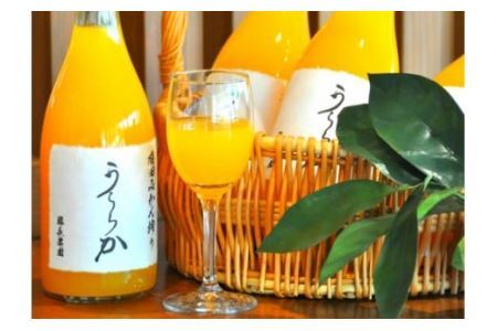 有田みかん搾り「うららか」＆八朔ジュースセット（計6本）(B295-2)