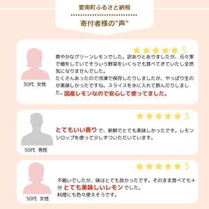 訳あり レモン 3kg 愛媛県 愛南町 みかん職人武田屋【レモン】