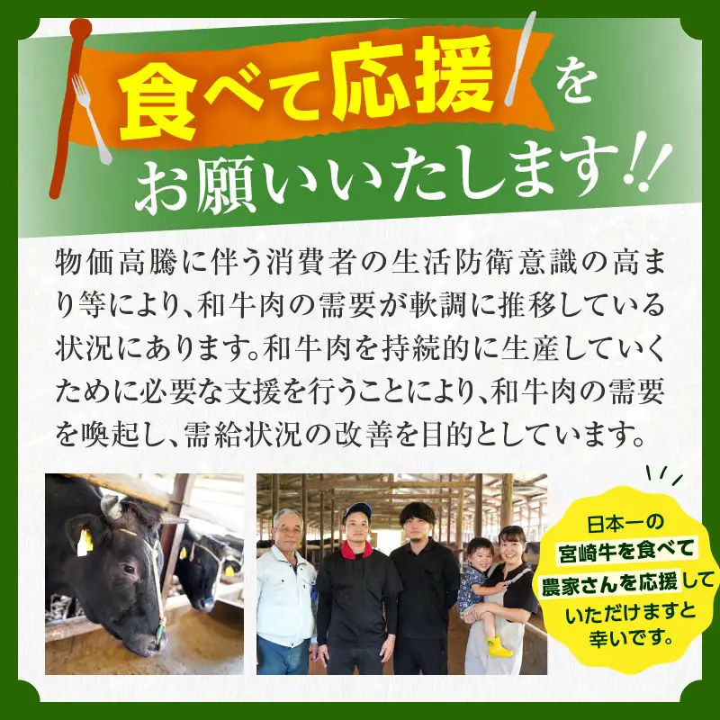 オンライン決済限定【令和8年8月配送】【畜産農家応援】宮崎牛 ロースステーキ (250g×2枚) 500g_CC66-25-08
