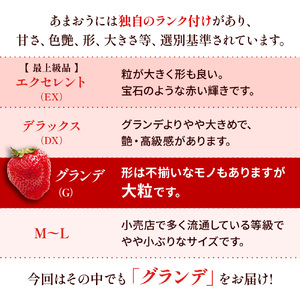 福岡県産 あまおう 1500g　先行予約 2027年1月～3月末にかけて順次発送　BA007-3