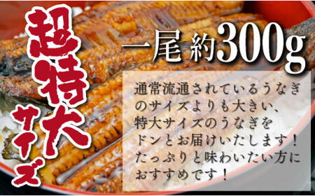 【数量限定】超特大くしまの黒潮うなぎ蒲焼3尾（合計900g前後）_K023-010