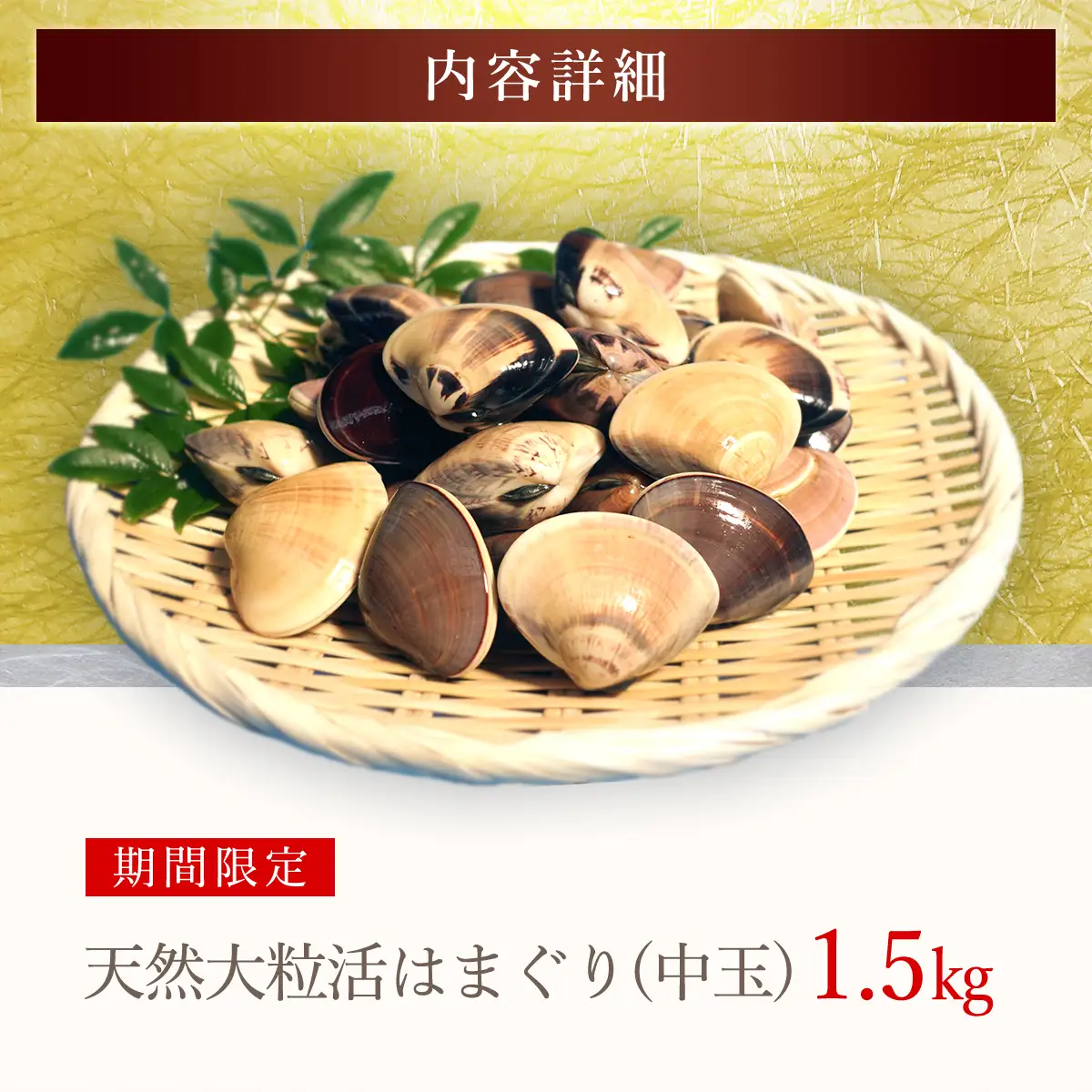 【千葉県ブランド認定】天然大粒活はまぐり（中玉）《1.5㎏》 ふるさと納税 はまぐり ハマグリ 蛤 貝類 魚介 海鮮 お吸い物 パスタ パエリア お歳暮 贈答 お祝い 千葉県 山武市 SMBO002
