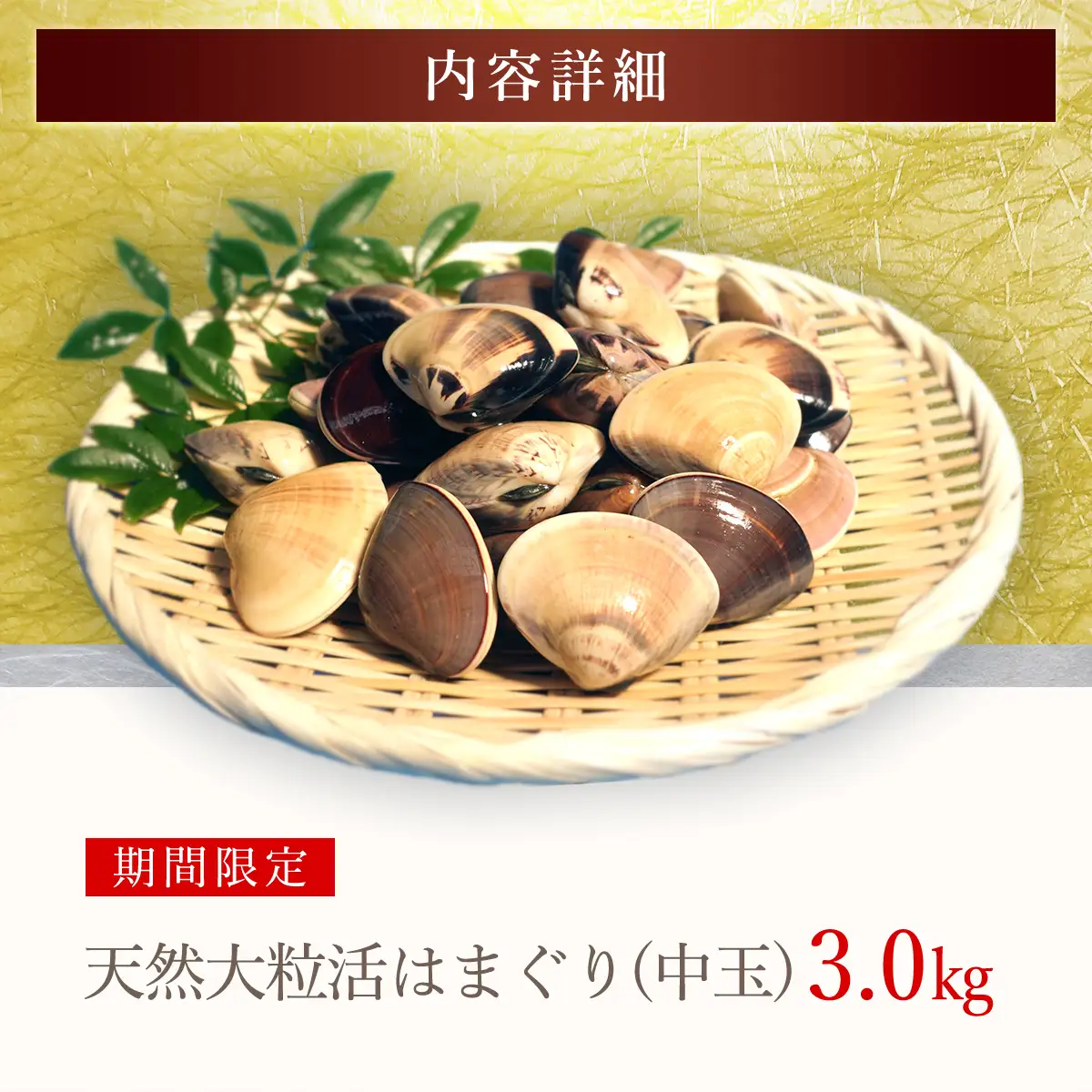 【千葉県ブランド認定】天然大粒活はまぐり（中玉）《3㎏》ギフトBOX付き／ふるさと納税 はまぐり ハマグリ 蛤 貝類 魚介 海鮮 お吸い物 パスタ パエリア お歳暮 贈答 お祝い 千葉県 山武市 SMBO005