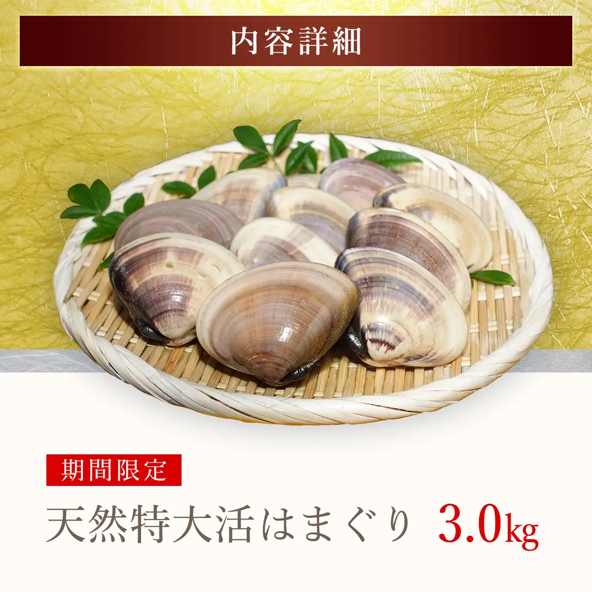 【千葉県ブランド認定】天然特大活はまぐり《3㎏》ギフトBOX付き／ふるさと納税 はまぐり ハマグリ 蛤 貝類 魚介 海鮮 お吸い物 パスタ パエリア お歳暮 贈答 お祝い 千葉県 山武市 SMBO006