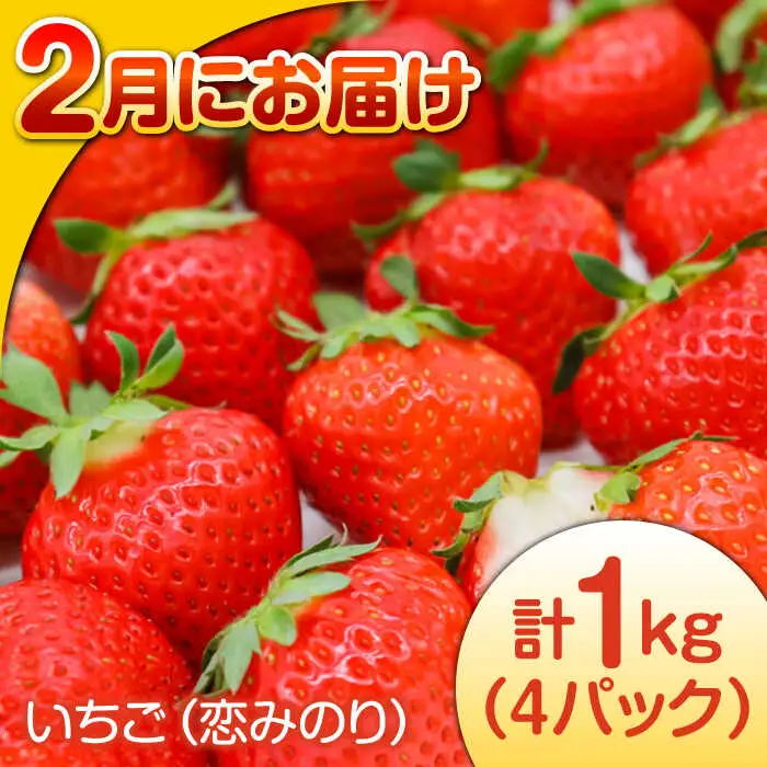【偶数月 6回定期便】長崎・南島原グルメ バラエティ定期便 / バラエティ セット 野菜定期便 フルーツ定期便 フルーツ 果物 野菜 やさい そうめん 角煮 皿うどん ちゃんぽん / 南島原市 / 贅沢宝庫 [SDZ039]