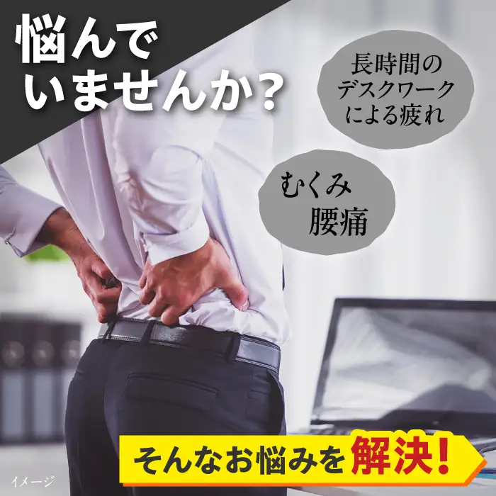 【2ヵ月発送】【パープル】オフィスチェア オカムラ（シルフィー ヘッドレスト付き）オフィスチェア [AKAA002-1]