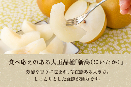 【2024年】【贈答用】和梨 新高 5kg（6?10玉）《9月下旬から順次発送》 果物 なし 梨 フルーツ 新鮮 新潟のフルーツ産地 加茂市 まるさん金子果樹園 梨