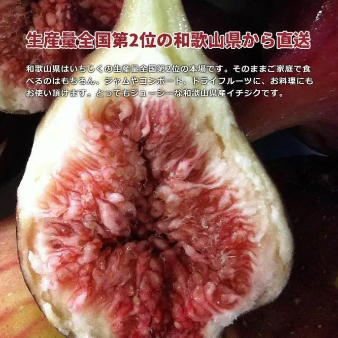 和歌山産 いちじく 秀品約1.6kg(400g ×4パック)