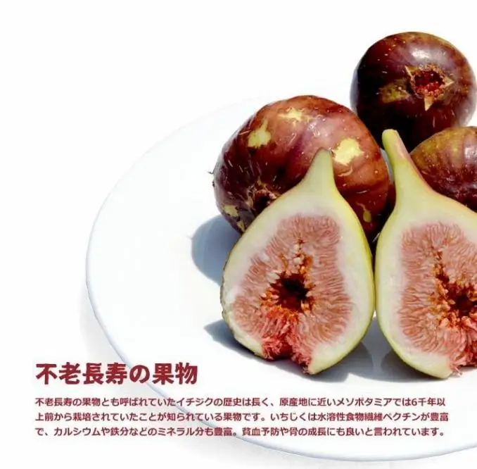 和歌山産 訳ありいちじく 約1.6kg(400g ×4パック)