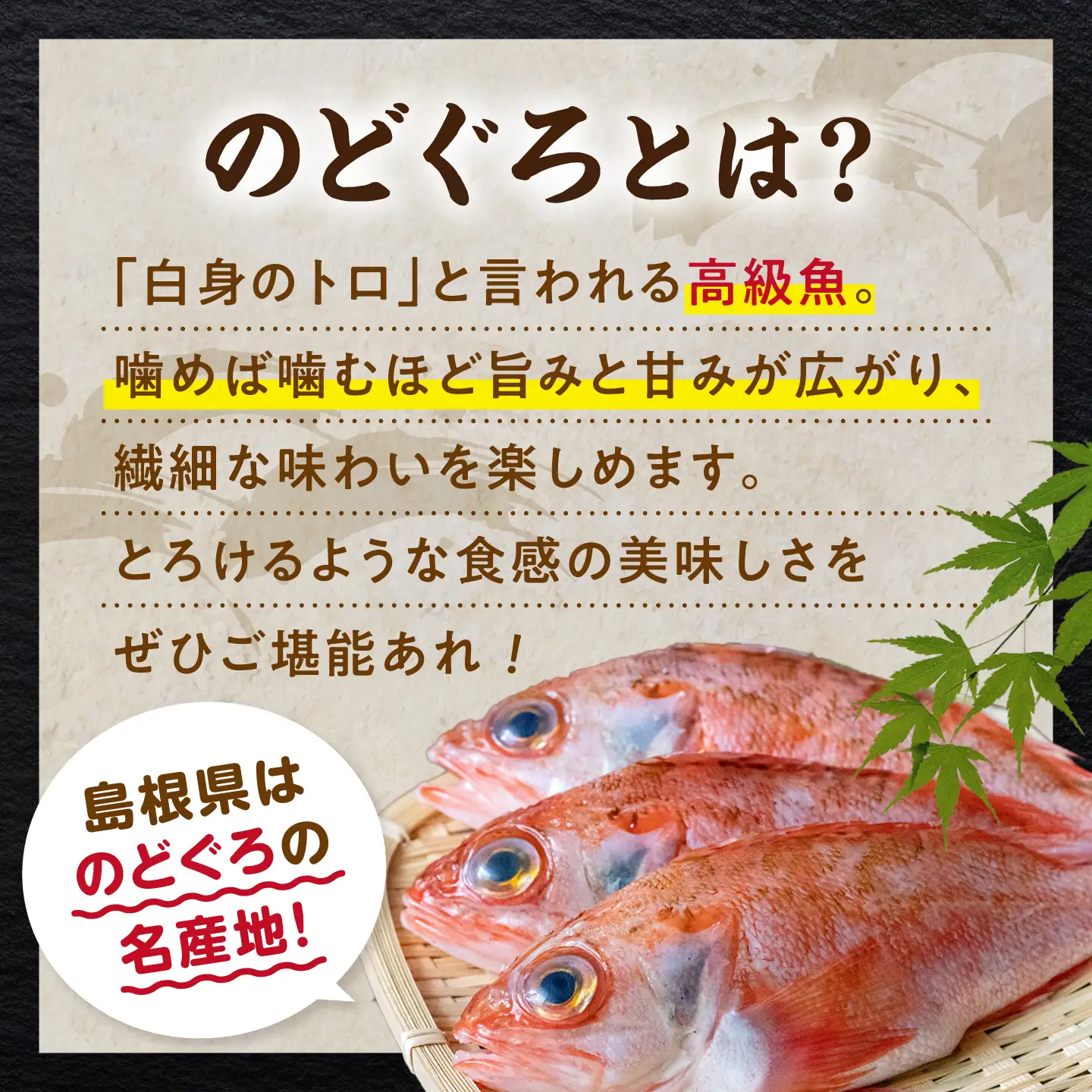 のどぐろ一夜干し4尾 800g級使用「天日ほしもん屋」 のどぐろ 干物 [ALCJ002] 