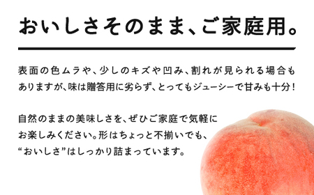 もも 桃 品種おまかせ 白桃 ご家庭用 約3kg(6~12個程度)  2026年産 山形県産 tf-moywm3