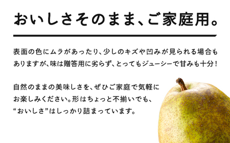 【先行予約】ラ・フランス〇秀品 ご家庭用 約3kg(6~12個程度) 2026年産 洋梨 ラフランス 山形県産 tf-lamxx3