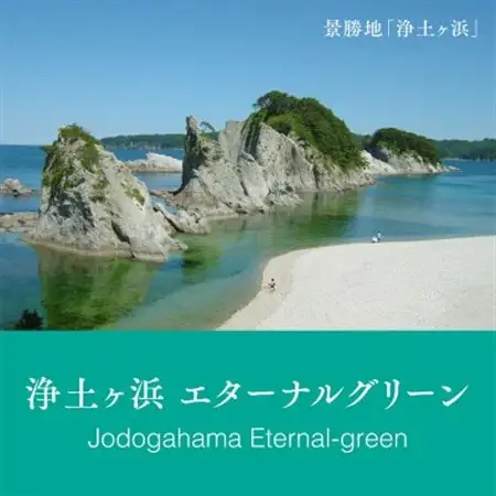 岩手県宮古市シティカラー 「浄土ヶ浜のいいイロ」万年筆インク 20ml_雑貨・日用品  文房具・印鑑 _【1278527】
