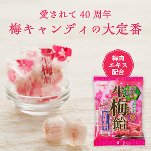 生梅飴 梅飴 梅キャンディ 紀州 南高梅 梅肉エキス ペースト お菓子 あめ キャンディー 飴 個包装 袋 リボン RIBON [109R02] 