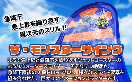 芝政ワールド スーパーパスポート1名様（おとな1名） 遊園地 プール チケット レジャー施設 [A-3902]