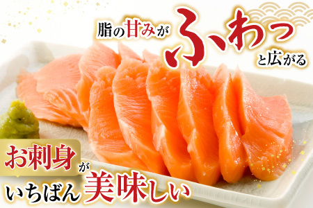 根室海鮮市場＜直送＞お刺身トラウトサーモン2P(計350～450g) G-28045