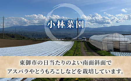 【先行受付2026年発送】農家直送！とうもろこし（ゴールドラッシュ）６本｜小林菜園 ※2026年8月上旬以降発送予定
