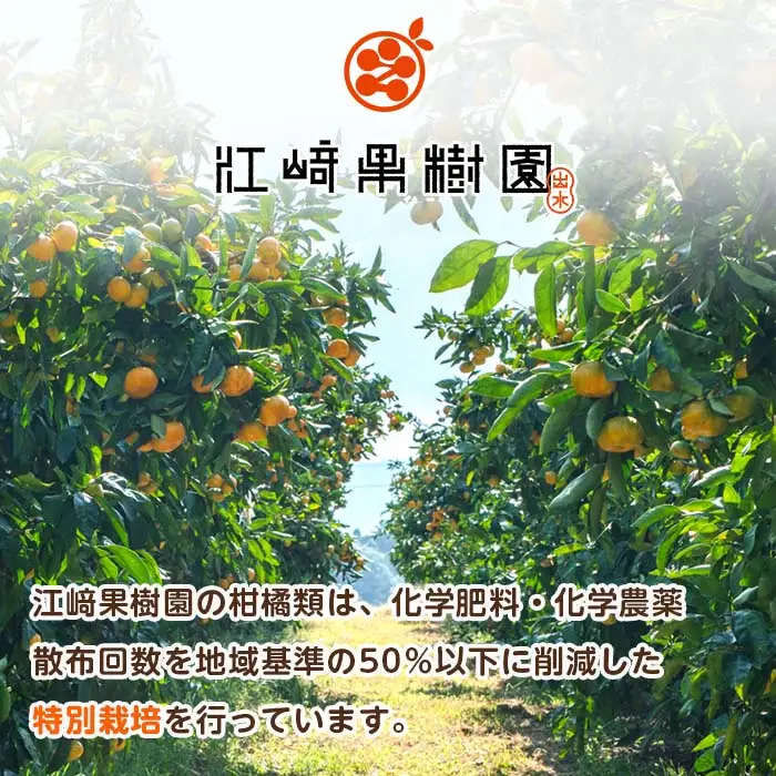 i990-D まるごと2種類果実ジュースセット(180ml×5本・全2種) 飲料 ジュース みかん 蜜柑 詰合せ 果汁 100% 河内晩柑 農6号 温州みかん 無着色 無香料 ストレートジュース 安心安全 ギフト 贈り物 【江崎果樹園】