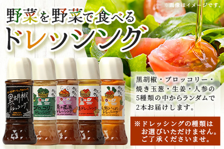 【訳あり】野菜で野菜を食べるドレッシング  2本セット 焼き玉ねぎ ニンジン ブロッコリー 生姜 黒胡椒  たまねぎ 玉葱 ドレッシング 調味料 肉料理 魚料理 アレンジ サラダ ヘルシー 024-0690