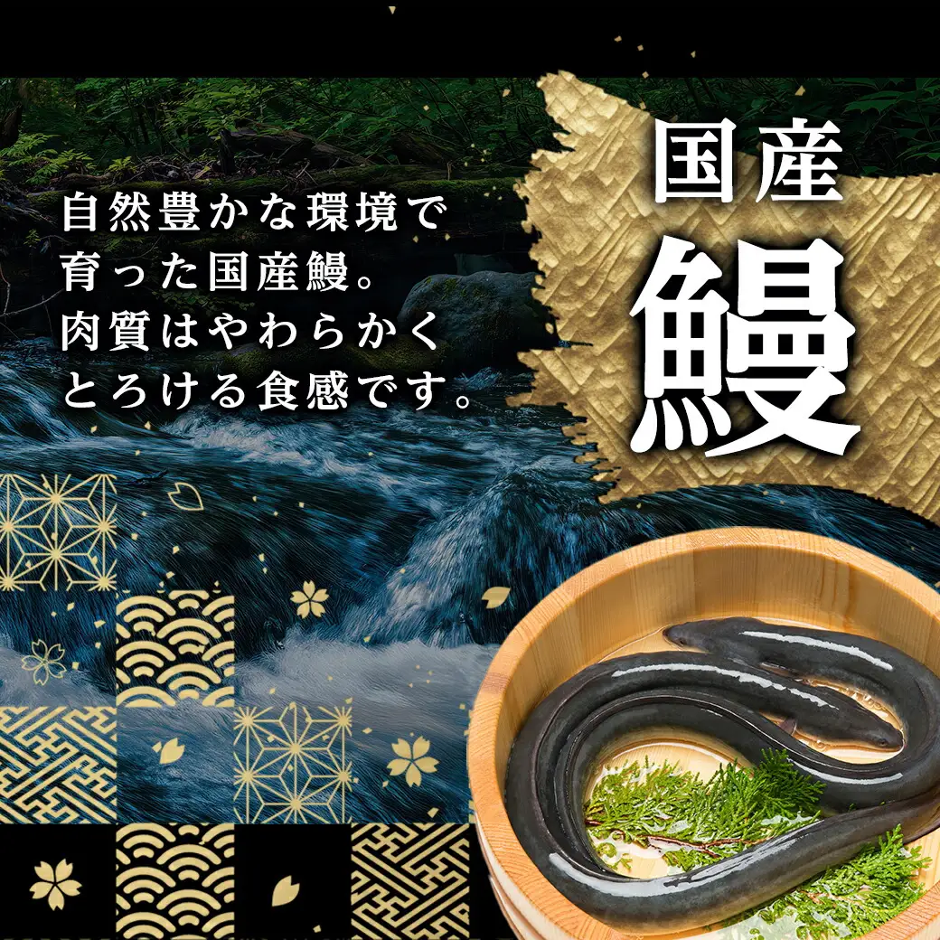 職人手焼きの本格うなぎ蒲焼き4尾〔AD-33-003-4〕_ (都城市) 国産 本格 うなぎ 鰻 蒲焼 うなぎ