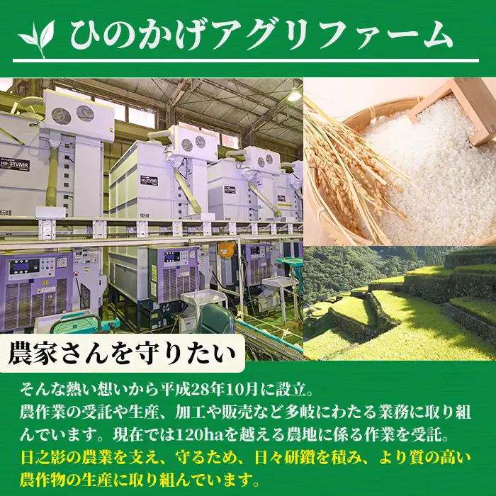 ＜令和7年産＞＜数量限定＞宮崎県日之影町産 ヒノヒカリ(計10kg・5kg×2袋) 米 精米 国産 ごはん 白米 【AF003】【株式会社ひのかげアグリファーム】