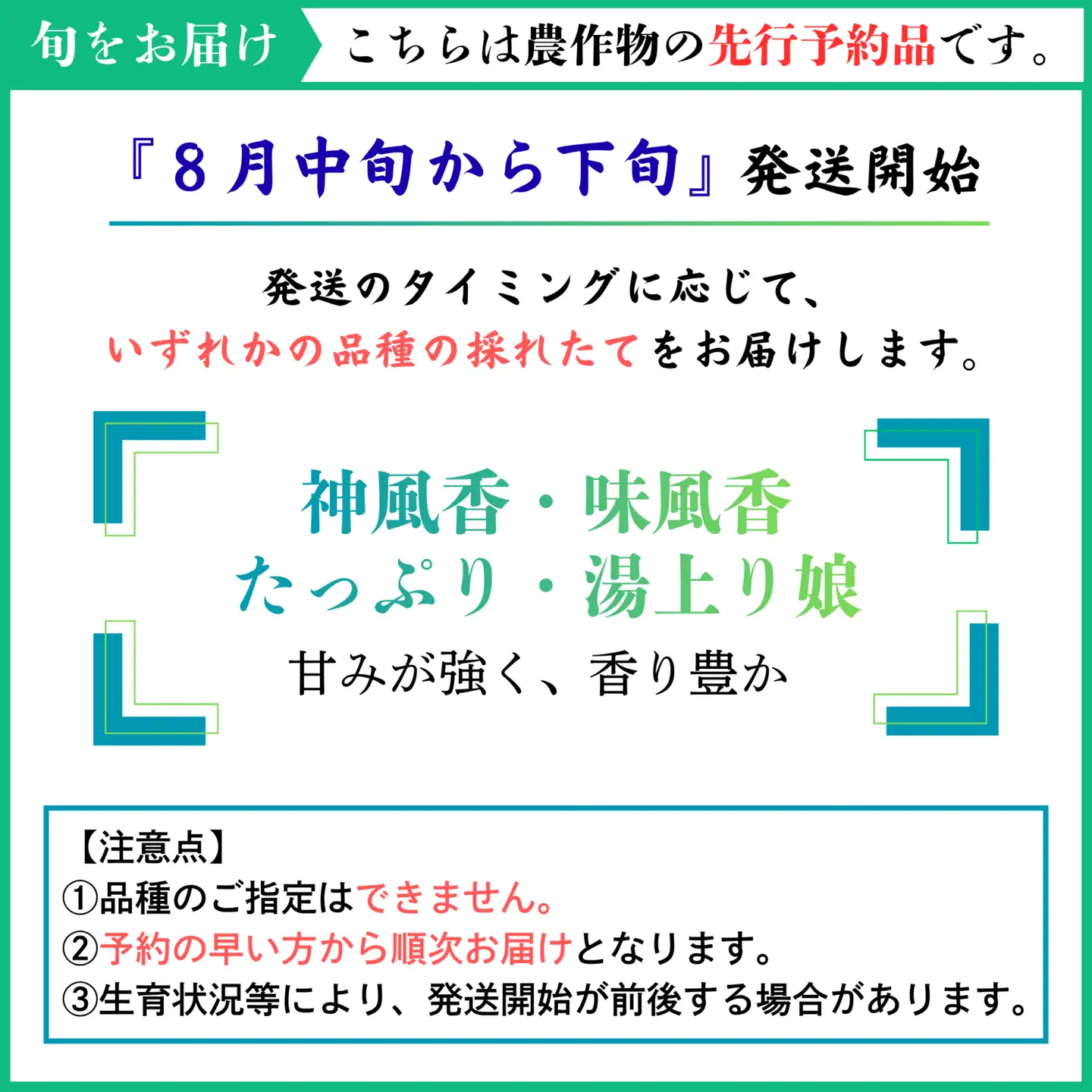 えだまめ 1kg 品種おまかせ 枝豆 えだ豆 秋田 えだまめ 井川産
