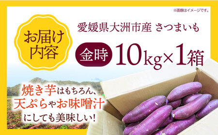 さつまいも（金時） 10kg さつまいも 芋 野菜 焼き芋 /愛たい菜 [AGAP013]
