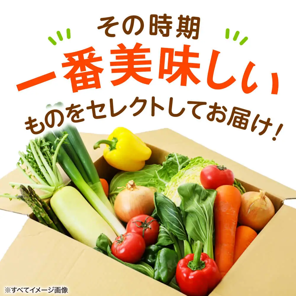 野菜セット【全3回定期便】野菜詰め合わせ（6種以上）[AGAP015]