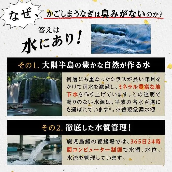 うなぎ 蒲焼 200g×5尾【鹿児島産】地下水で育てた絶品鰻｜うなぎ