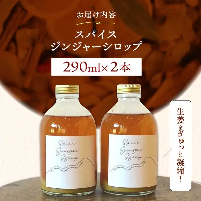 スパイスジンジャーシロップ(290ml×2本) / ジンジャー シロップ 自家製 生姜 自然 暮らし / 諫早市 / のんびり山　 [AHBA003]