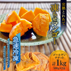 完熟 とれたて 凍らせ マンゴー 1kg （ ゴールデンナゲット ） C063-002 果物 フルーツ 冷凍