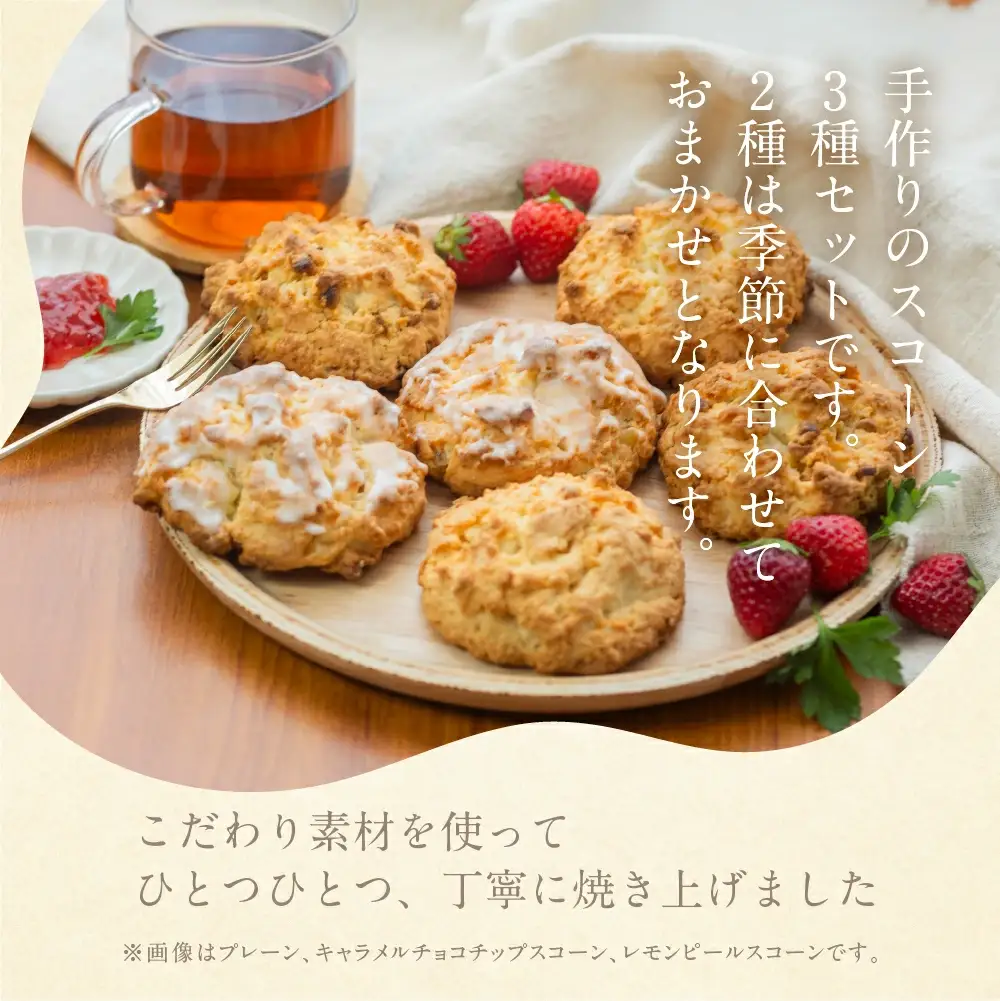 【定期便 3回】（簡易包装）ANoi スコーン 15個 × 3か月 毎月（プレーン 5個・おまかせ 2種×各5個）スコーン【55-A】