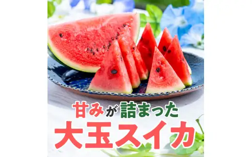 スイカ1玉(約10㎏級) N0195-YA3331