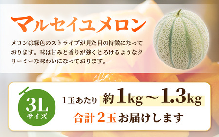 マルセイユメロン（赤肉メロン）3L 2玉入り（1玉：約1～1.3kg） 2027年6月上旬以降発送 [A-19207]