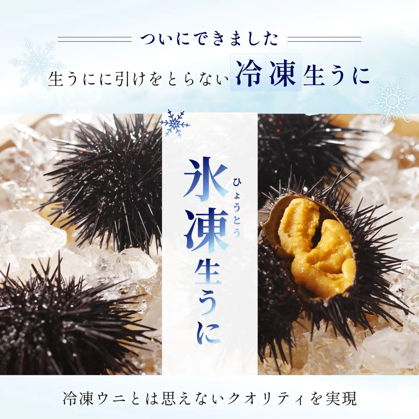 「うにむらかみ」氷凍生うに(冷凍生うに)　70g×1枚 HOKT007