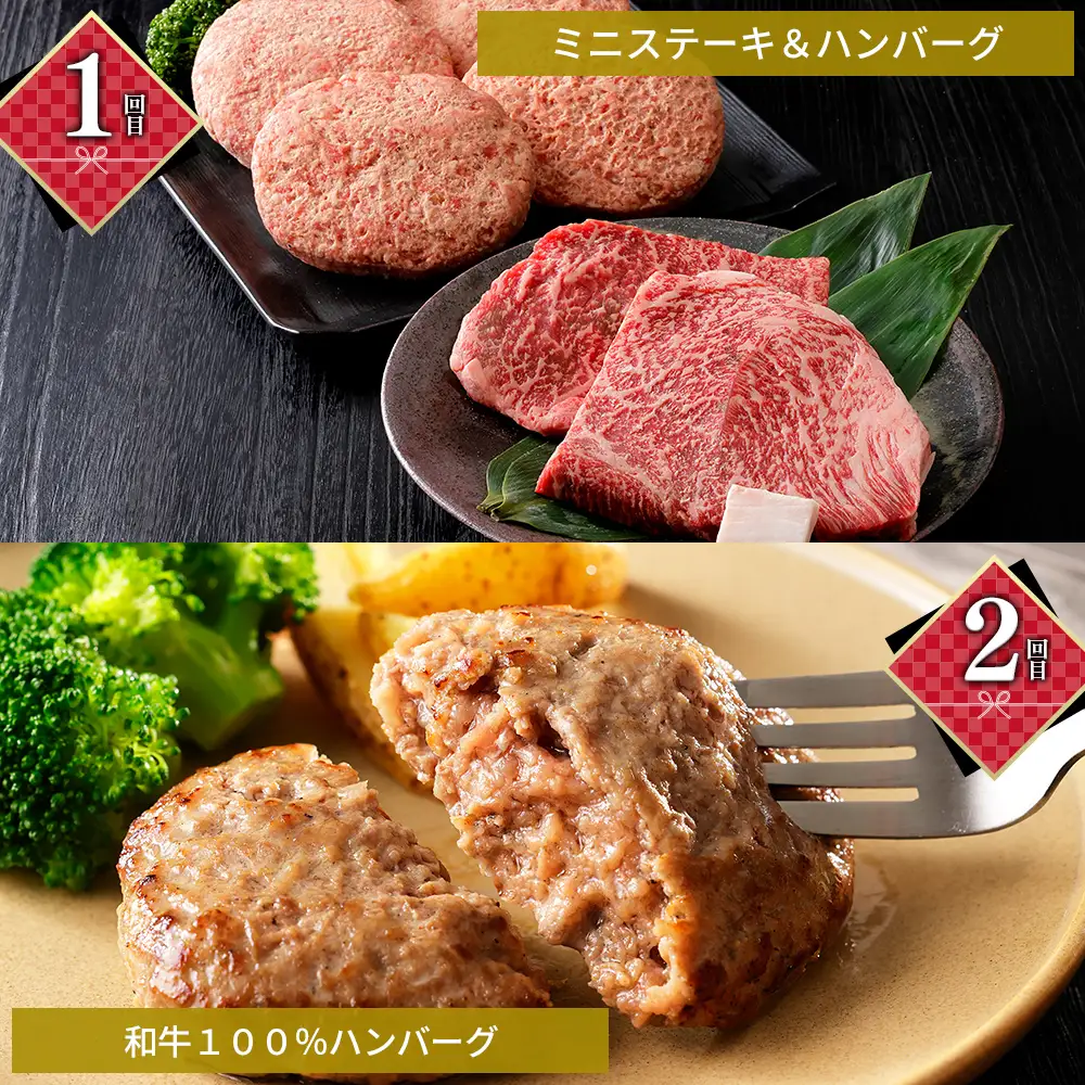 十勝ナイタイ和牛 定期便 5回 5ヵ月定期便 国産 北海道 牛 肉 牛肉 和牛 5・4等級 黒毛和牛 オレイン酸含有率55%以上 サーロイン ミスジ ステーキ ハンバーグ 冷凍