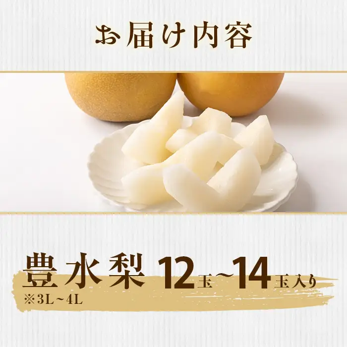 350 豊水梨 約5kg 12～14玉 3L～4L 梨 なし 【先行予約 2026年 8月下旬ころより順次発送予定】