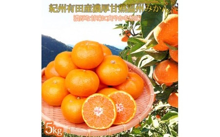 【2026年11月下旬より発送】紀州有田産 濃厚甘熟温州みかん 5kg_G7043