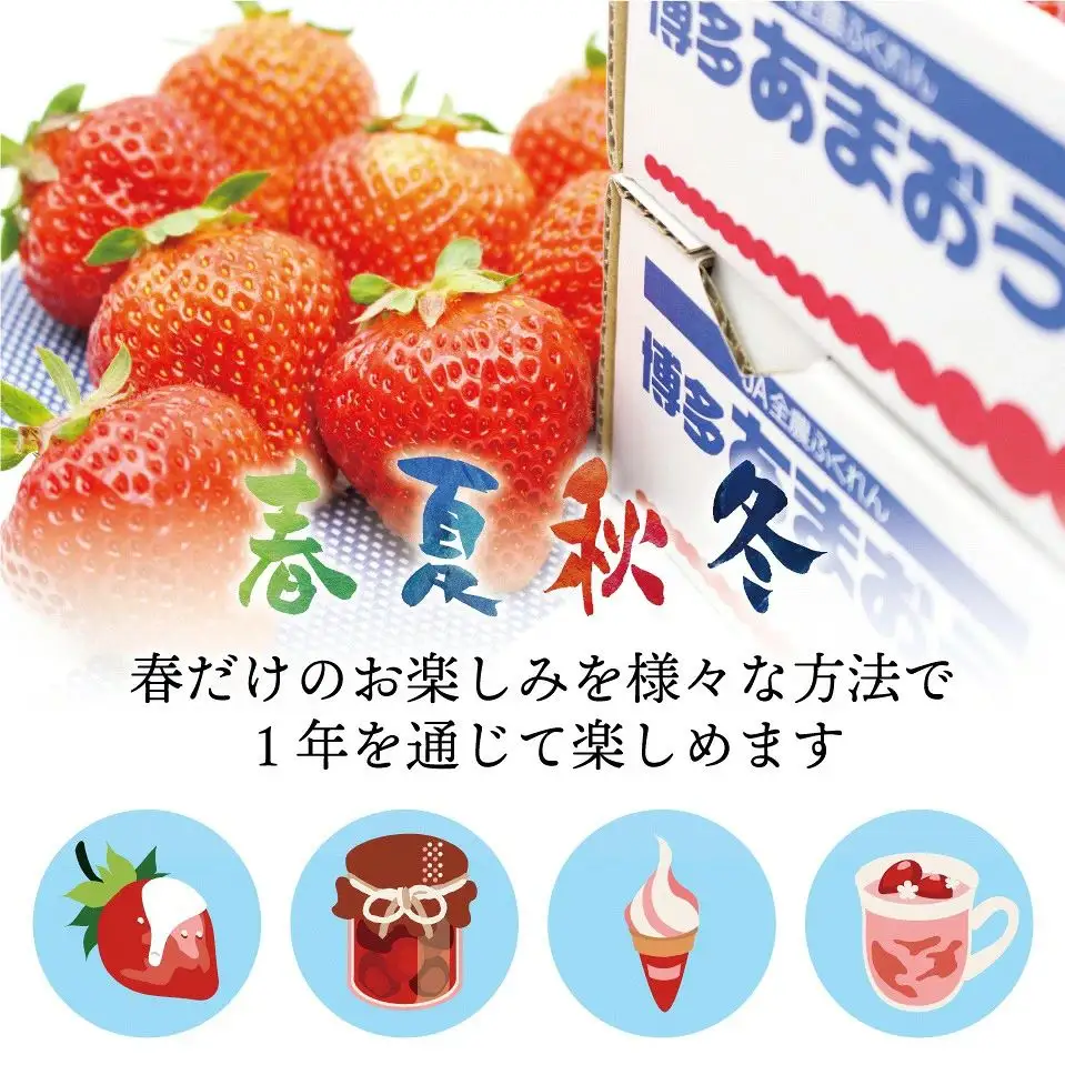 急速冷凍！人気のあまおう 冷凍いちご　福岡県特産品　大容量 1.6kg【JAほたるの里】_HA1513