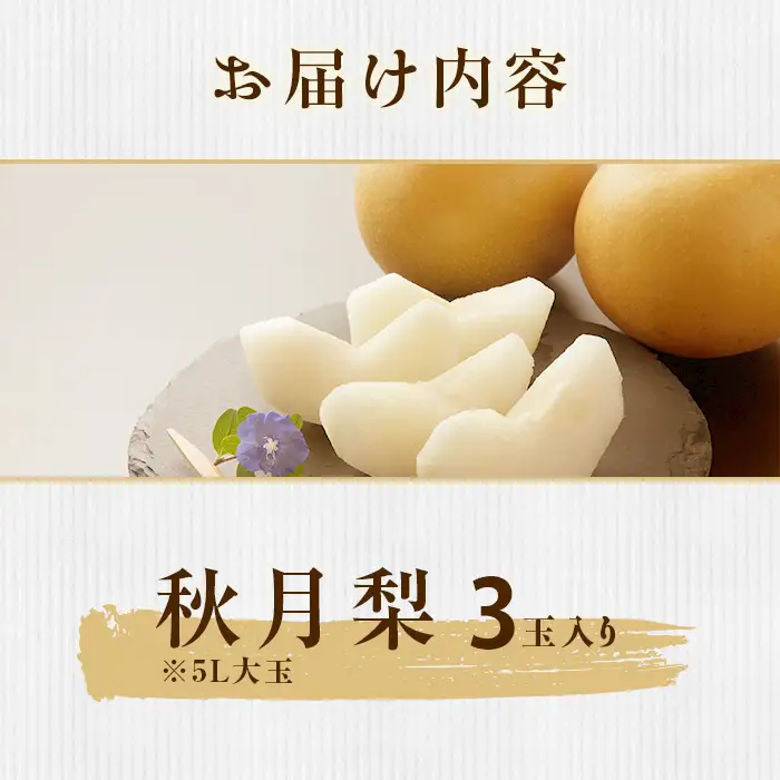 353 秋月梨 約1.5kg 3玉 5L 大玉 梨 なし あきづき 【先行予約 2026年 9月中旬ころより順次発送予定】
