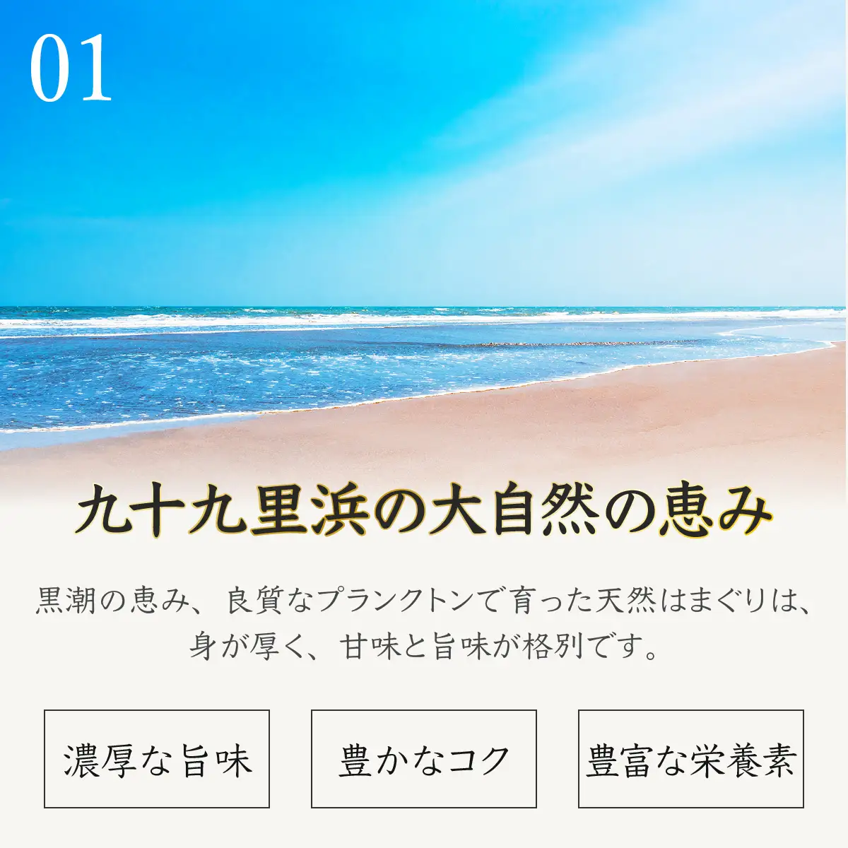 ＜１２ヶ月毎月届く定期便!＞九十九里浜産活天然はまぐりサイズお任せ2kg入り SMBB007