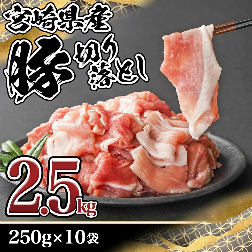宮崎県産豚切り落とし2.5kg(真空)〔12-8407〕_(都城市) 豚肉 切り落とし (250g×10) 小分け 真空 宮崎県産豚2.5キロ 炒めもの 鍋物 しゃぶしゃぶ