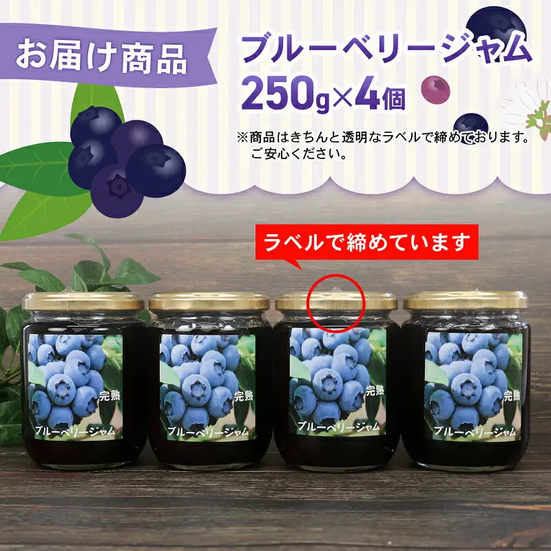 ブルーベリー ジャム 自家製 250g ×4個 計1kg 夢萬開 ブルーベリージャム berry 手作り 瓶 果物 くだもの フルーツ デザート ポリフェノール パン 朝食 ヨーグルト アイス お菓子 おすすめ アレンジ 農家直送 産地直送 数量限定 国産 愛媛 宇和島 J015-105002
