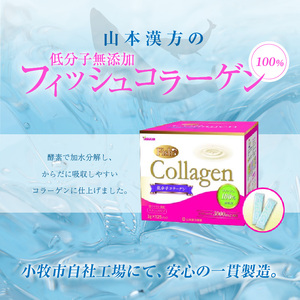 ＜2ヶ月に1度、3回送付定期便＞山本漢方のコラーゲン [027Y20-T]
