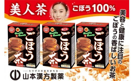 ＜3ヶ月に1度、2回送付定期便＞ごぼう茶 [027Y35-T]
