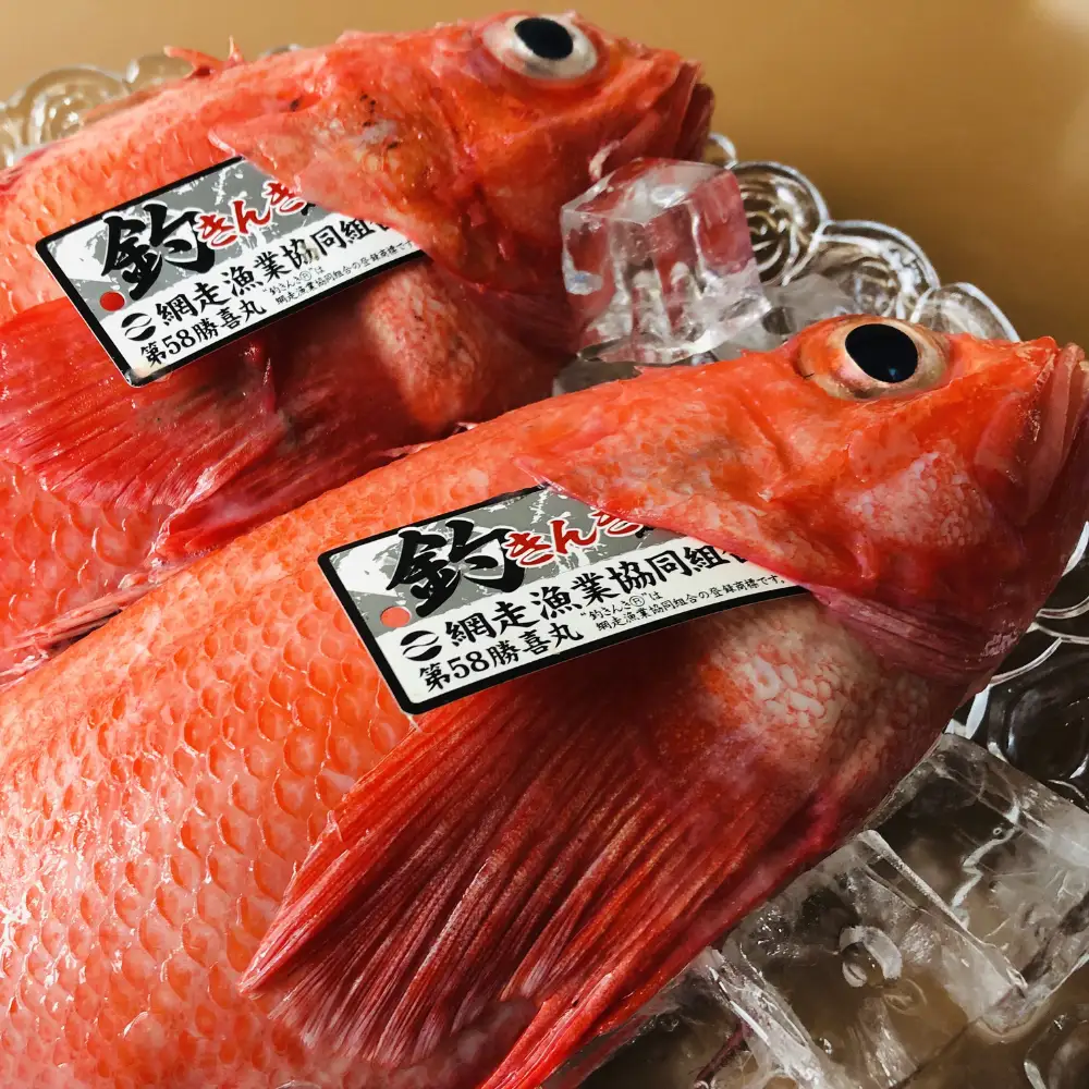 【定期便】＜冷蔵＞網走から海の幸　毛ガニ、ズワイガニ、うに、活ホタテ、きんき等 全5回 ABAO075 | 定期便 毛ガニ ウニ