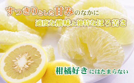 【先行予約】【訳あり】土佐文旦 加工用（M?5L混合）約10kg〈2027年2月中旬?発送〉/ 文旦 10キロ 約16?30玉 ぶんたん ブンタン 柑橘 果物 フルーツ【株式会社とさもん】 [BQAE034]